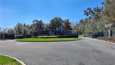 NEARING COMPLETION! ALMOST READY FOR OCCUPANCY! Don't miss this on Skyview At Terra Vista Golf and Country Club in Florida - for sale on GolfHomes.com, golf home, golf lot