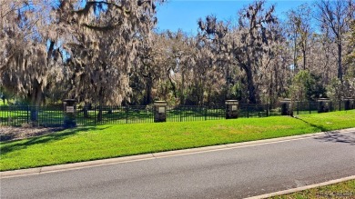 NEARING COMPLETION! ALMOST READY FOR OCCUPANCY! Don't miss this on Skyview At Terra Vista Golf and Country Club in Florida - for sale on GolfHomes.com, golf home, golf lot