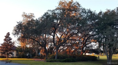 NEARING COMPLETION! ALMOST READY FOR OCCUPANCY! Don't miss this on Skyview At Terra Vista Golf and Country Club in Florida - for sale on GolfHomes.com, golf home, golf lot