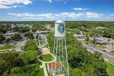 Beautifully remodeled 3/2/2 home with 2062 living area nestled on Inverness Golf and Country Club in Florida - for sale on GolfHomes.com, golf home, golf lot