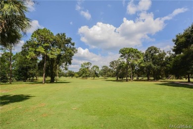 Beautifully remodeled 3/2/2 home with 2062 living area nestled on Inverness Golf and Country Club in Florida - for sale on GolfHomes.com, golf home, golf lot