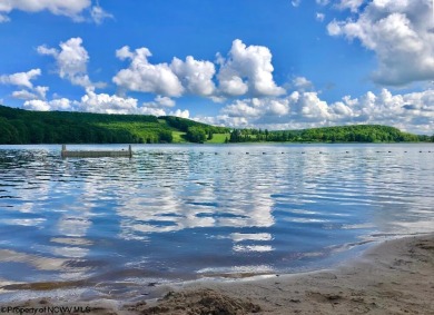 Build your dream home surrounded by Hemlock Trees and evergreen on Alpine Lake Resort in West Virginia - for sale on GolfHomes.com, golf home, golf lot