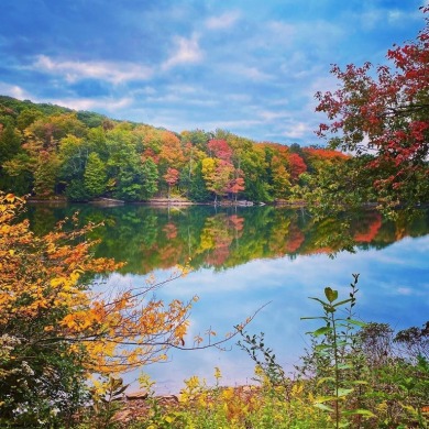 Build your dream home surrounded by Hemlock Trees and evergreen on Alpine Lake Resort in West Virginia - for sale on GolfHomes.com, golf home, golf lot