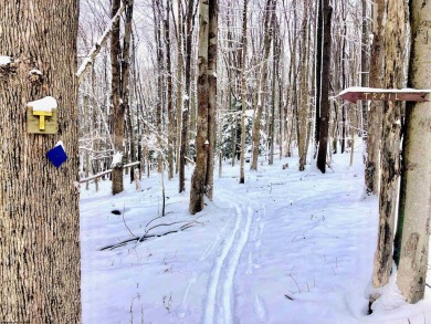 Build your dream home surrounded by Hemlock Trees and evergreen on Alpine Lake Resort in West Virginia - for sale on GolfHomes.com, golf home, golf lot