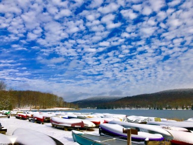 Build your dream home surrounded by Hemlock Trees and evergreen on Alpine Lake Resort in West Virginia - for sale on GolfHomes.com, golf home, golf lot