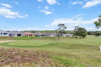 FORE!!! Heads up because this lovely recently updated Laurel on Twisted Oaks Golf Club in Florida - for sale on GolfHomes.com, golf home, golf lot