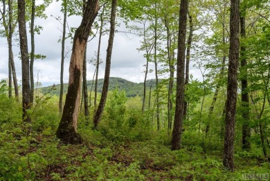 Bring your plans because this lot is ready for your new home! on Natures Walk At Chinquapin in North Carolina - for sale on GolfHomes.com, golf home, golf lot