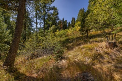 Rare Slopeside Opportunity in Tamarack Resort Seize the chance on Osprey Meadows at Tamarack Resort in Idaho - for sale on GolfHomes.com, golf home, golf lot