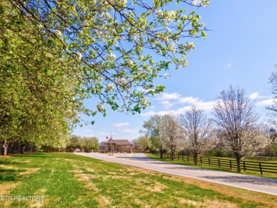 Welcome to this tranquil, upscale residence located in an on Rarity Bay Country Club - Loudon in Tennessee - for sale on GolfHomes.com, golf home, golf lot