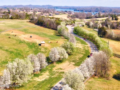 Welcome to this tranquil, upscale residence located in an on Rarity Bay Country Club - Loudon in Tennessee - for sale on GolfHomes.com, golf home, golf lot