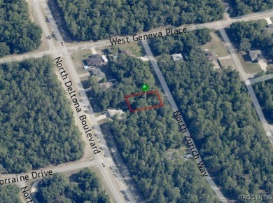 Picturesque homesite in Citrus Springs offering an incredible on Citrus Springs Country Club in Florida - for sale on GolfHomes.com, golf home, golf lot
