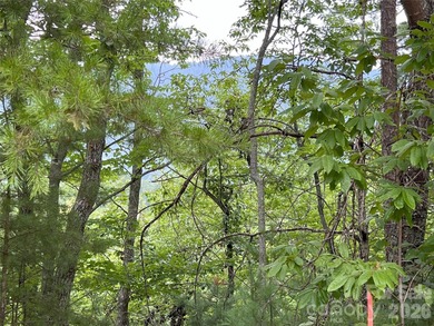 Private lot with mountain & golf course views in the highly on Brights Creek Golf Course in North Carolina - for sale on GolfHomes.com, golf home, golf lot