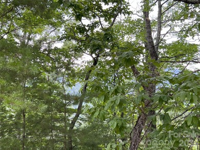 Private lot with mountain & golf course views in the highly on Brights Creek Golf Course in North Carolina - for sale on GolfHomes.com, golf home, golf lot