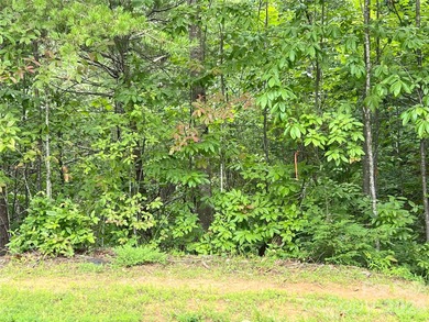 Private lot with mountain & golf course views in the highly on Brights Creek Golf Course in North Carolina - for sale on GolfHomes.com, golf home, golf lot