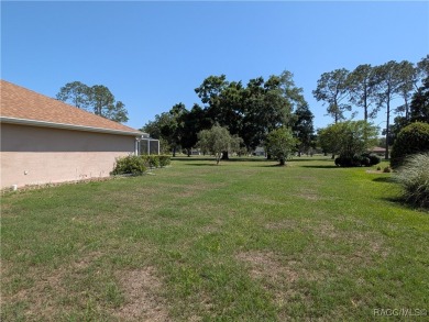 If you want it all, this is your next home! This Citrus Hills on Citrus Hills Golf Club in Florida - for sale on GolfHomes.com, golf home, golf lot