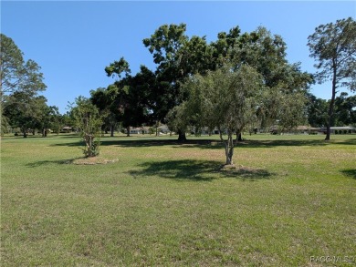 If you want it all, this is your next home! This Citrus Hills on Citrus Hills Golf Club in Florida - for sale on GolfHomes.com, golf home, golf lot