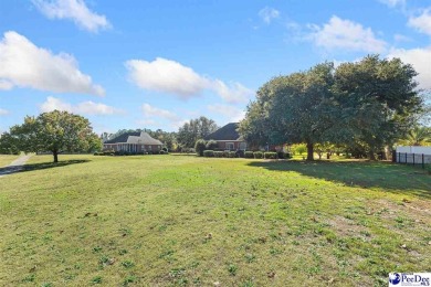 Welcome to this three bedroom, two bathroom home ideally on Governors Run Golf Club in South Carolina - for sale on GolfHomes.com, golf home, golf lot