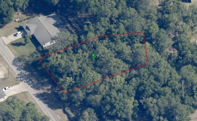 Picturesque homesite in Citrus Springs offering an incredible on Citrus Springs Country Club in Florida - for sale on GolfHomes.com, golf home, golf lot