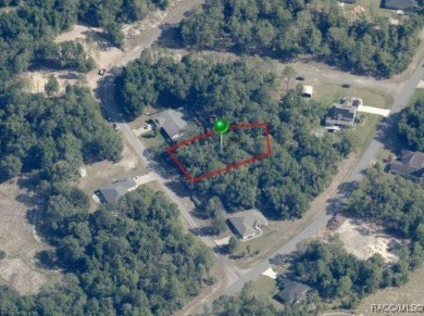Picturesque homesite in Citrus Springs offering an incredible on Citrus Springs Country Club in Florida - for sale on GolfHomes.com, golf home, golf lot