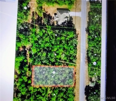 Nice sized 80 x 185 lot in Citrus Springse enjoy this nice on Citrus Springs Country Club in Florida - for sale on GolfHomes.com, golf home, golf lot