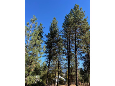 Best lot available in MeadowCreek Subdivision! You must see this on Meadowcreek Golf Resort in Idaho - for sale on GolfHomes.com, golf home, golf lot