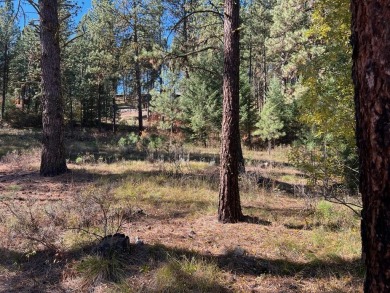 Best lot available in MeadowCreek Subdivision! You must see this on Meadowcreek Golf Resort in Idaho - for sale on GolfHomes.com, golf home, golf lot