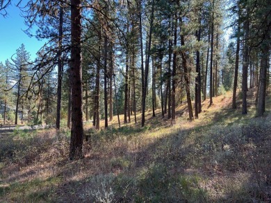 Best lot available in MeadowCreek Subdivision! You must see this on Meadowcreek Golf Resort in Idaho - for sale on GolfHomes.com, golf home, golf lot