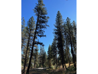 Best lot available in MeadowCreek Subdivision! You must see this on Meadowcreek Golf Resort in Idaho - for sale on GolfHomes.com, golf home, golf lot
