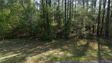 Prime opportunity to own a spacious 0.77-acre corner lot in the on Citrus Springs Country Club in Florida - for sale on GolfHomes.com, golf home, golf lot