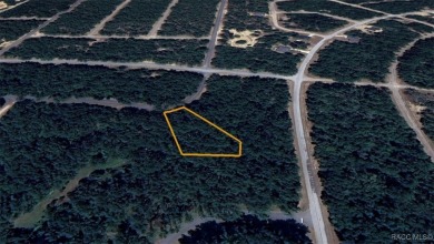 Prime opportunity to own a spacious 0.77-acre corner lot in the on Citrus Springs Country Club in Florida - for sale on GolfHomes.com, golf home, golf lot