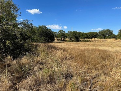 Lot 993 on Longview Drive in the Kings Point Cove Resort on Hideout Golf Club and Resort  in Texas - for sale on GolfHomes.com, golf home, golf lot
