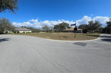 A RARE OPPORTUNITY TO LET YOUR IMAGINATION RUN WILD DESIGNING on Black Diamond Ranch Golf Course in Florida - for sale on GolfHomes.com, golf home, golf lot