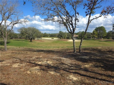 A RARE OPPORTUNITY TO LET YOUR IMAGINATION RUN WILD DESIGNING on Black Diamond Ranch Golf Course in Florida - for sale on GolfHomes.com, golf home, golf lot