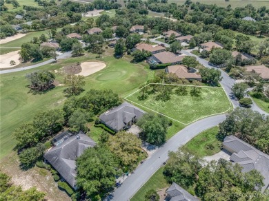 A RARE OPPORTUNITY TO LET YOUR IMAGINATION RUN WILD DESIGNING on Black Diamond Ranch Golf Course in Florida - for sale on GolfHomes.com, golf home, golf lot