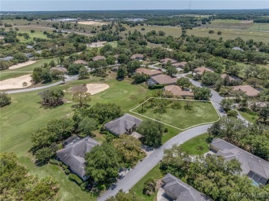 A RARE OPPORTUNITY TO LET YOUR IMAGINATION RUN WILD DESIGNING on Black Diamond Ranch Golf Course in Florida - for sale on GolfHomes.com, golf home, golf lot