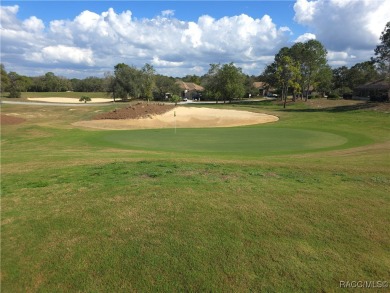 A RARE OPPORTUNITY TO LET YOUR IMAGINATION RUN WILD DESIGNING on Black Diamond Ranch Golf Course in Florida - for sale on GolfHomes.com, golf home, golf lot
