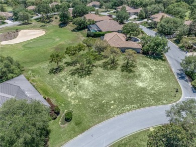 A RARE OPPORTUNITY TO LET YOUR IMAGINATION RUN WILD DESIGNING on Black Diamond Ranch Golf Course in Florida - for sale on GolfHomes.com, golf home, golf lot