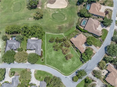 A RARE OPPORTUNITY TO LET YOUR IMAGINATION RUN WILD DESIGNING on Black Diamond Ranch Golf Course in Florida - for sale on GolfHomes.com, golf home, golf lot