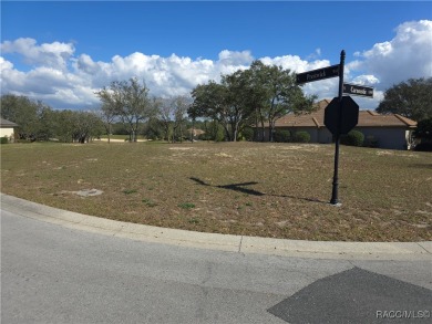 A RARE OPPORTUNITY TO LET YOUR IMAGINATION RUN WILD DESIGNING on Black Diamond Ranch Golf Course in Florida - for sale on GolfHomes.com, golf home, golf lot