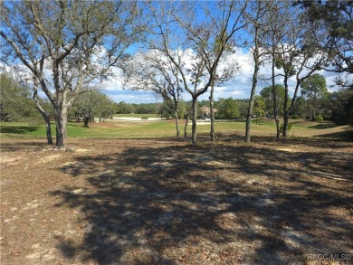 A RARE OPPORTUNITY TO LET YOUR IMAGINATION RUN WILD DESIGNING on Black Diamond Ranch Golf Course in Florida - for sale on GolfHomes.com, golf home, golf lot