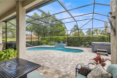 Imagine yourself in a beautiful relaxing Waterford Style Pool on Skyview At Terra Vista Golf and Country Club in Florida - for sale on GolfHomes.com, golf home, golf lot