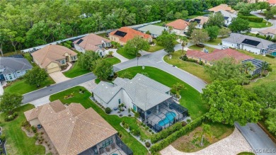 Imagine yourself in a beautiful relaxing Waterford Style Pool on Skyview At Terra Vista Golf and Country Club in Florida - for sale on GolfHomes.com, golf home, golf lot