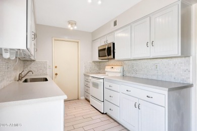 Check Out This Super Clean And Move-In Ready 2 Bed, 2 Bath Home on Sun City-Willow Creek / Willow Brook  in Arizona - for sale on GolfHomes.com, golf home, golf lot