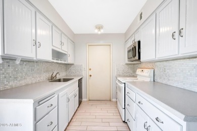Check Out This Super Clean And Move-In Ready 2 Bed, 2 Bath Home on Sun City-Willow Creek / Willow Brook  in Arizona - for sale on GolfHomes.com, golf home, golf lot