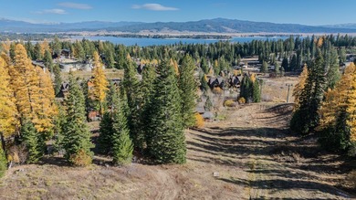 LOCATION, LOCATION, LOCATION! Discover the perfect opportunity on Osprey Meadows at Tamarack Resort in Idaho - for sale on GolfHomes.com, golf home, golf lot