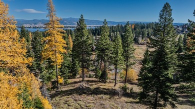 LOCATION, LOCATION, LOCATION! Discover the perfect opportunity on Osprey Meadows at Tamarack Resort in Idaho - for sale on GolfHomes.com, golf home, golf lot
