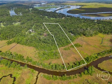 Nestled along the tranquil banks of Sterling Creek, this on The Ford Field and River Club  in Georgia - for sale on GolfHomes.com, golf home, golf lot