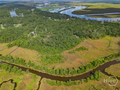 Nestled along the tranquil banks of Sterling Creek, this on The Ford Field and River Club  in Georgia - for sale on GolfHomes.com, golf home, golf lot