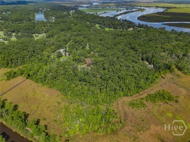 Nestled along the tranquil banks of Sterling Creek, this on The Ford Field and River Club  in Georgia - for sale on GolfHomes.com, golf home, golf lot