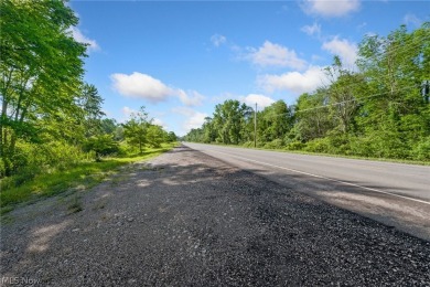 5.49-acre lot located in Hudson near Ellsworth Meadows Golf Club on Ellsworth Meadows Golf Club in Ohio - for sale on GolfHomes.com, golf home, golf lot